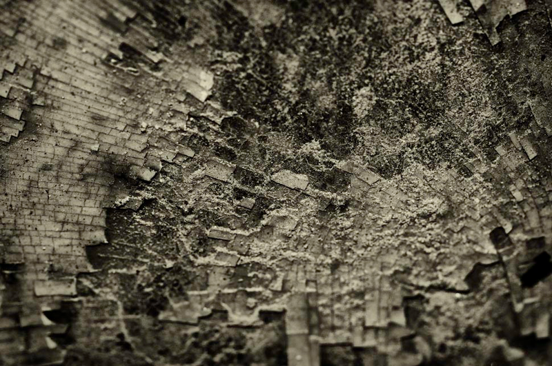 Illustration for article titled Shooting Challenge Gallery: Duotone III